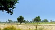 India: Uttar Pradesh Sodic Lands Reclamation Project III